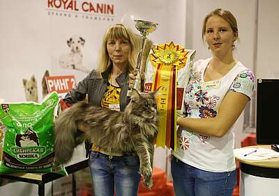 �������� ����� '���-�����-��������' 20-21 �������� 2014 1-251-169A1786 copy.jpg